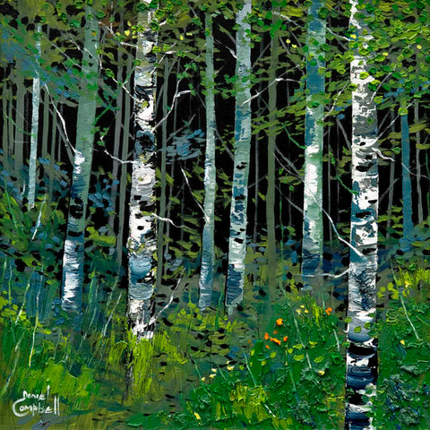 Silver Birches in Summer (large)