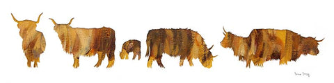 Kyloes (Medium)