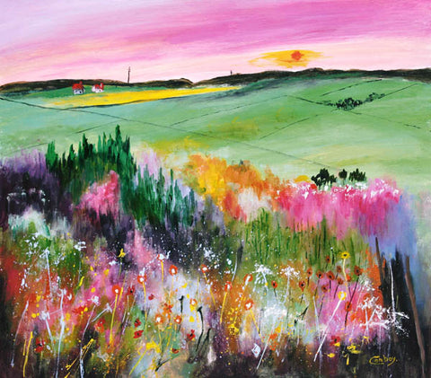 Sun, Fields and Flowers