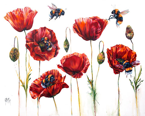 Where Poppies Grow