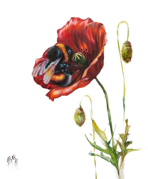 Poppy Love L/E giclee