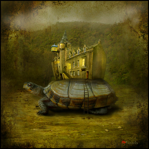Wandering Museum (medium)