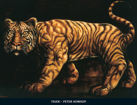 Tyger