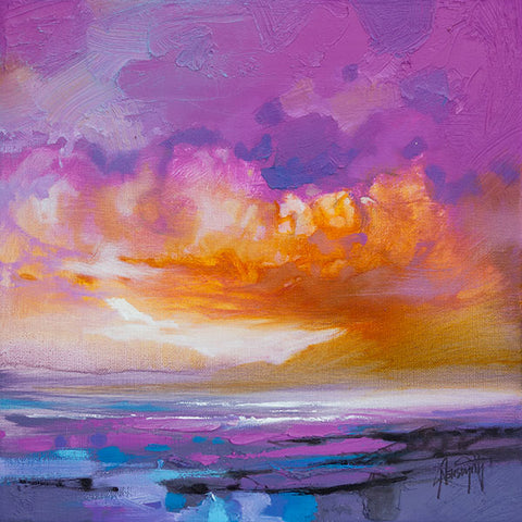 Magenta Sky Study 1