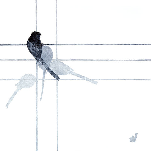 Long Tailed Tit I (medium)