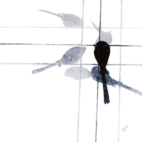 Long Tailed Tit II (large)