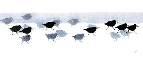Sanderlings (medium)