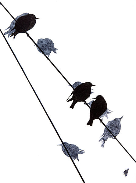Starlings (small)