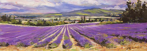 Lavender of the Vaucluse (large)