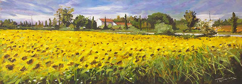 Sunflowers near Arles (medium)