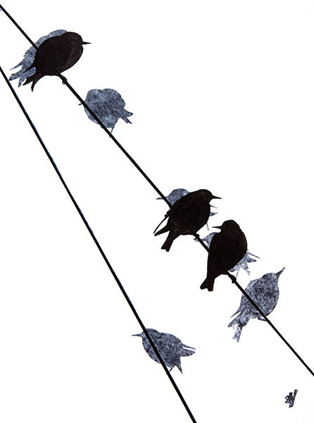 Starlings (large)